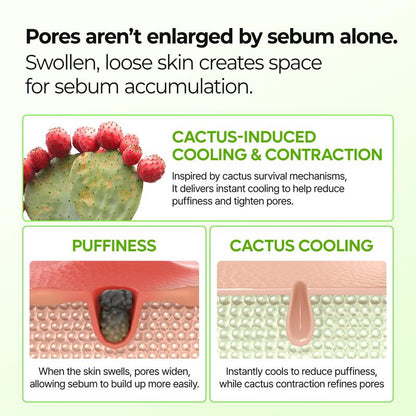 Cactiqᶜᵗ |  PORE RELIEF MULTI BALM with Cactus Cooling To Reduce Puffiness